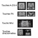 Touche pour Clavier HP - 806500-051 MP-13J73F0J920 AEY0DF00010 102-13J73LHG02