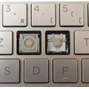 Touche pour Clavier HP - L37531-051 AEG7DF00110 9Z.NECBQ.A0F NSK-XBABQ 9Z.NECLN.F01